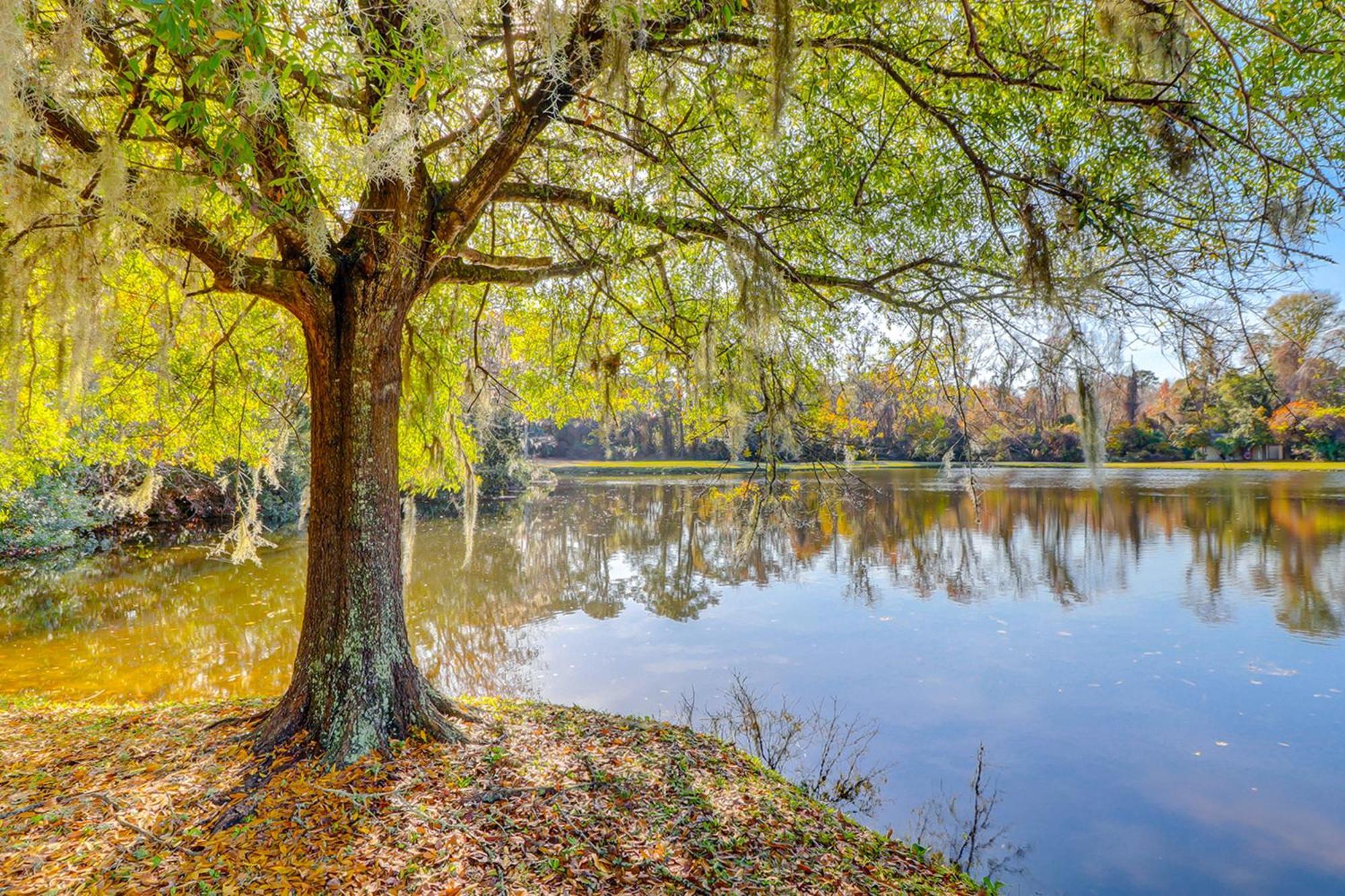 Harbour Master 503 Διαμέρισμα Hilton Head Island Εξωτερικό φωτογραφία